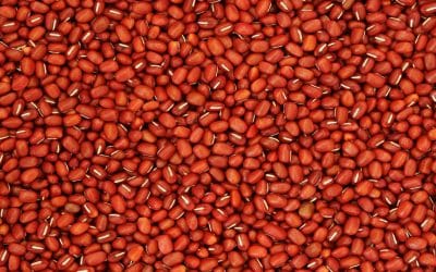 Adzuki Beans Curry