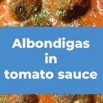 Albondigas in tomato sauce