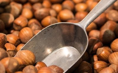 Hazelnuts instead of vitamin tablets?