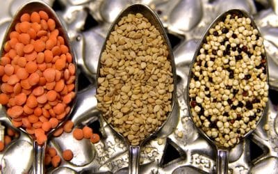 Comeback of the lentils